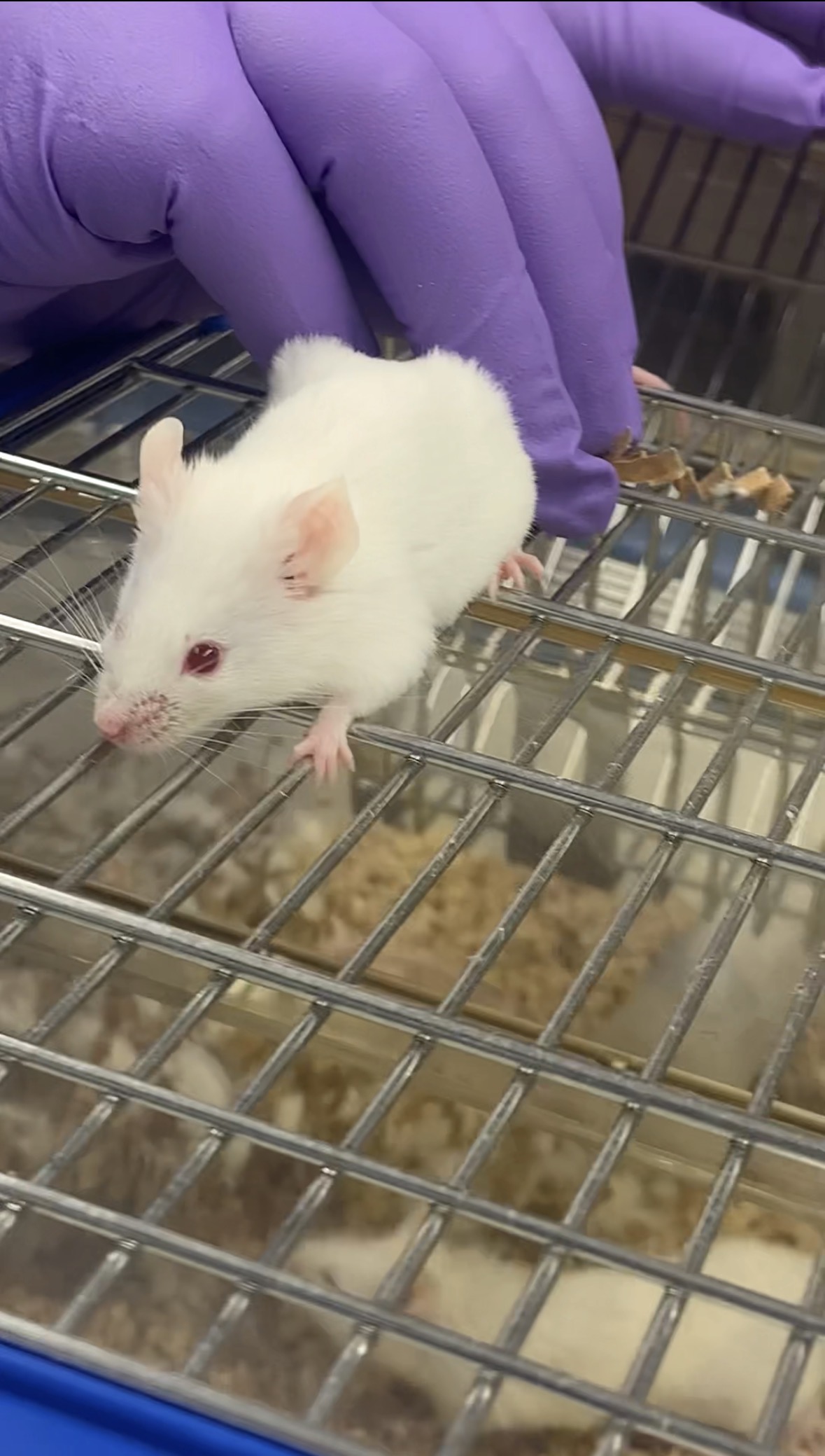 Research team collaboration